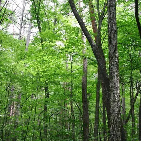 Very Welcoming And Cosy *