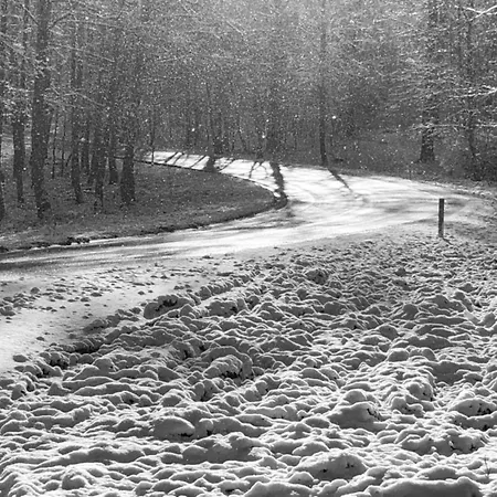 Very Welcoming And Cosy *