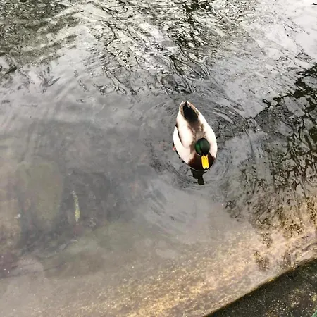 Very Welcoming And Cosy ナソーニュ