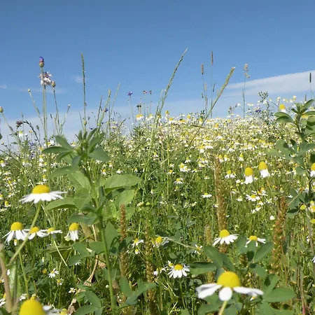 Very Welcoming And Cosy シャレー