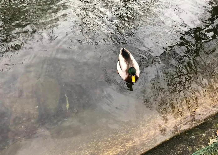 Very Welcoming And Cosy Nassogne