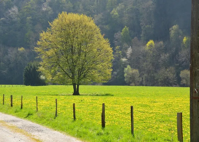 Very Welcoming And Cosy Chalet Nassogne